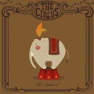 Circus Elephant N2
