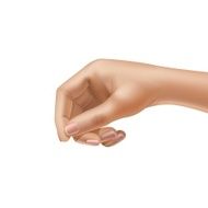 Vector Female Hand Isolated on White Background