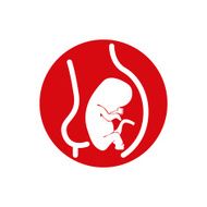 Fetus vector icon isolated