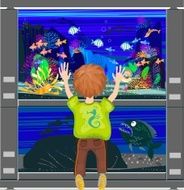 Child looking at an aquarium with marine fishes