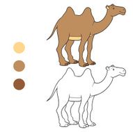 Coloring book (camel)