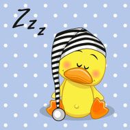 Sleeping Duck