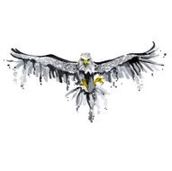 Eagle Flying In The Sky N3