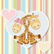 Two giraffes N2