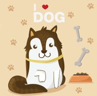 Siberian Husky N2