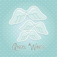 Angel Wings N9