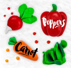 Plasticine vegetables carrot