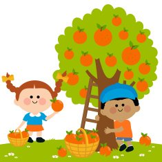 Children picking oranges