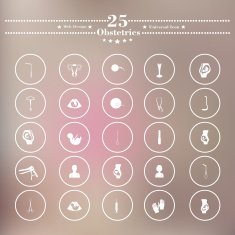 Icons flat is pregnant white soft background N8