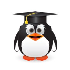 Penguin with graduation cap