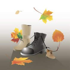 The shoes family