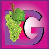 letter G for grape N2