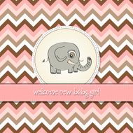romantic baby announcement card N6