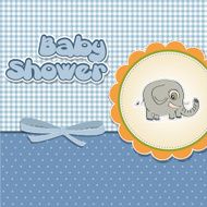 romantic baby announcement card N7