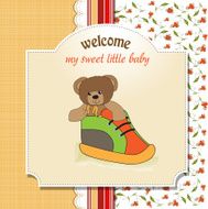 shower card with teddy bear hidden in a shoe N9