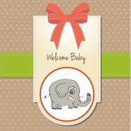 romantic baby announcement card N16