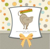 special gift card with cat