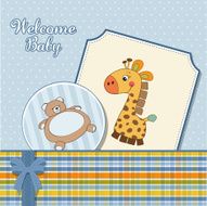 Baby boy announcement card N33