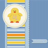 baby boy announcement card with duck