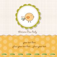 new baby announcement card with chicken N5