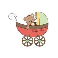 funny teddy bear in stroller N4