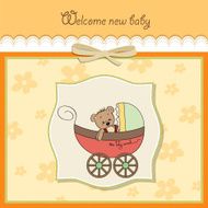 funny teddy bear in stroller N13