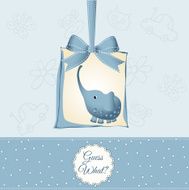 new baby boy announcement card N27