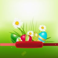 Easter Eggs Grass Background a