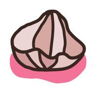 icon clam