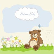 baby shower card with cute teddy bear toy N2