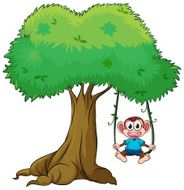 monkey playing swing on tree