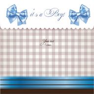 Baby boy announcement card N47