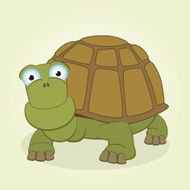 Turtle N7