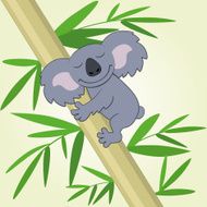 Koala N4