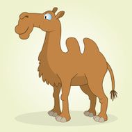 Camel N3