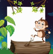 Monkey and a white board