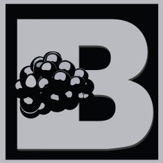 letter B for blackberry