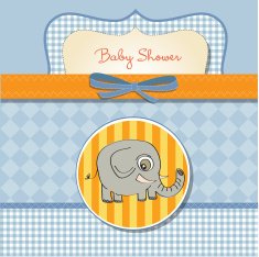 romantic baby announcement card N18
