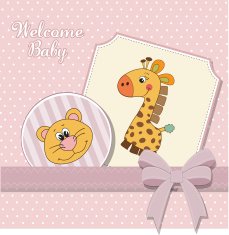 Baby girl announcement card N21