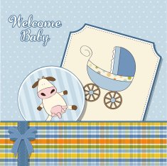 Baby boy announcement card N30