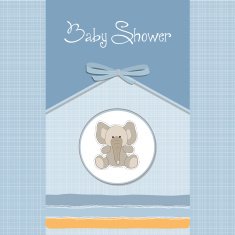 romantic baby announcement card N21