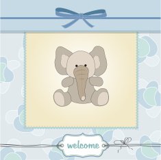 new baby boy announcement card N21
