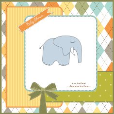new baby boy announcement card N24