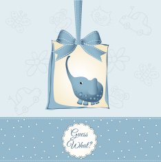 new baby boy announcement card N27