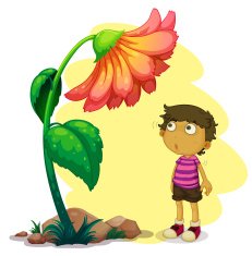 little boy looking at the giant flower