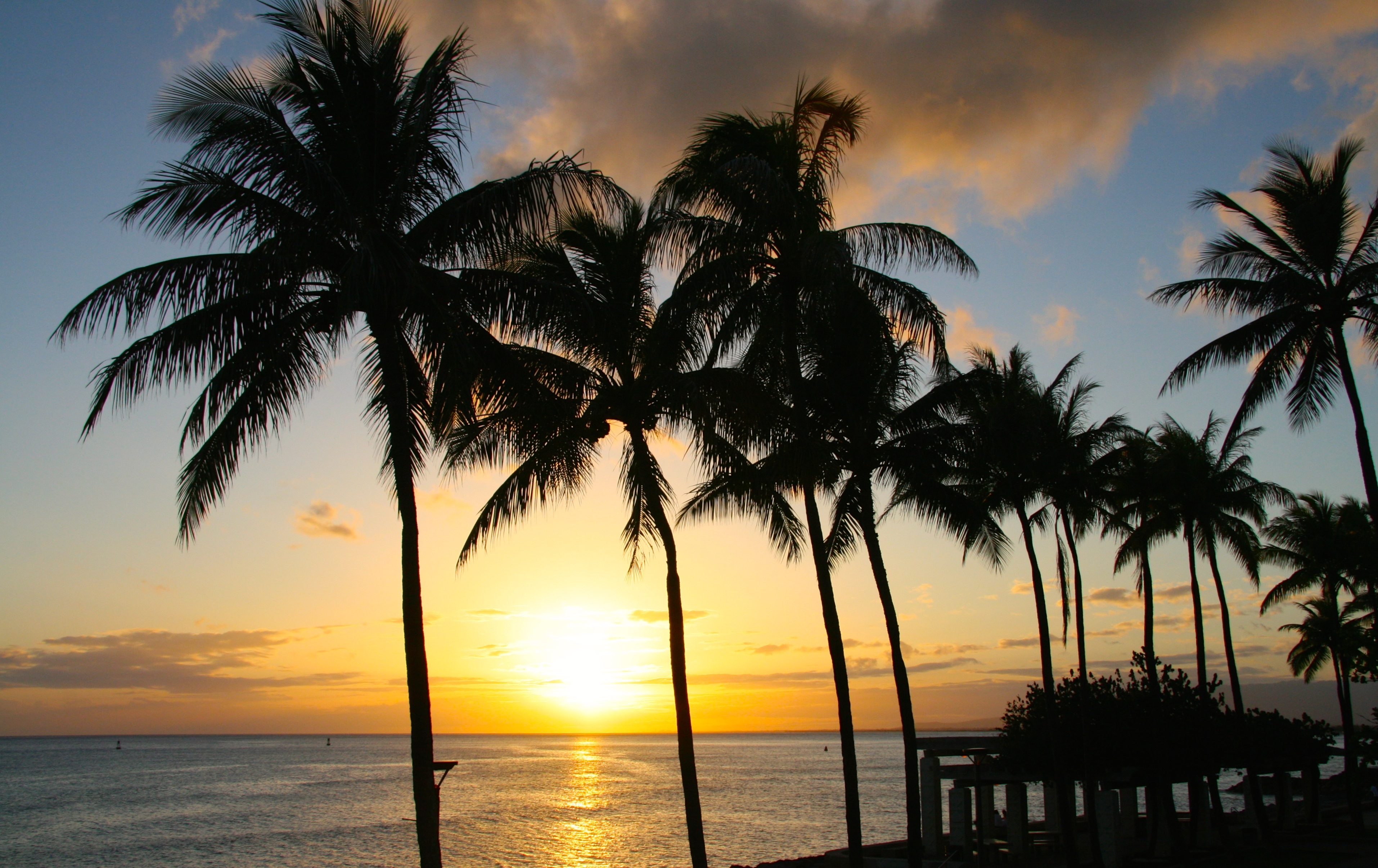 Tropical Paradise With Palm Trees On The Background Of A Hawaiian Sunset In Honolulu Free Image