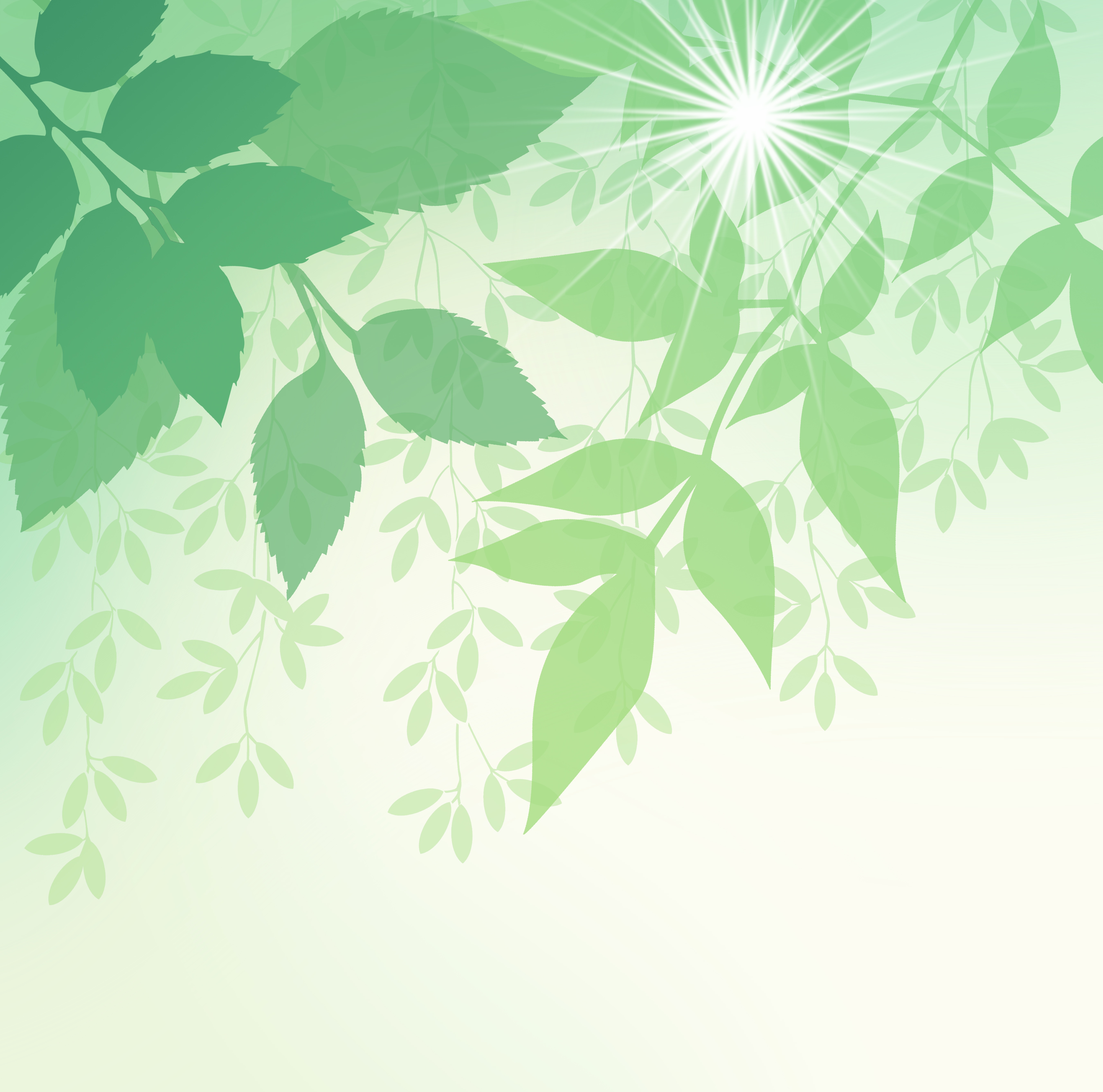 Spring leaves. Весенние листья. Весенние листочки. Легкая Весенняя листва.