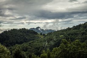 mountain forest valley