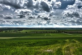 Calm atmosphere on a field