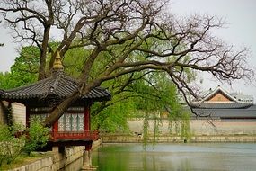 Beautiful, traditional Gyeongbok Palace with trees on the shore in South Korea